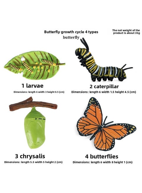 Realistic Animal Models Ocean Crabs Salty Crabs Hermit Sally Three-point Plastic Cognitive Toys-Color:Butterfly Growth Cycle 4 Sets