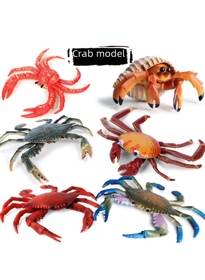 Realistic Animal Models Ocean Crabs Salty Crabs Hermit Sally Three-point Plastic Cognitive Toys-Color:Butterfly Growth Cycle 4 Sets