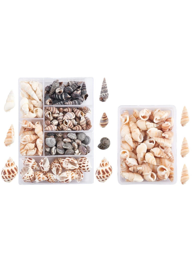 Excefore 140 PCS Open Back Natural Spiral Shell Beads, Spiral Conch Shells Charms, Beach Seashells Beads, Suitable for DIY Craft Jewelry Making, Home or Wedding Decoration - Image 1