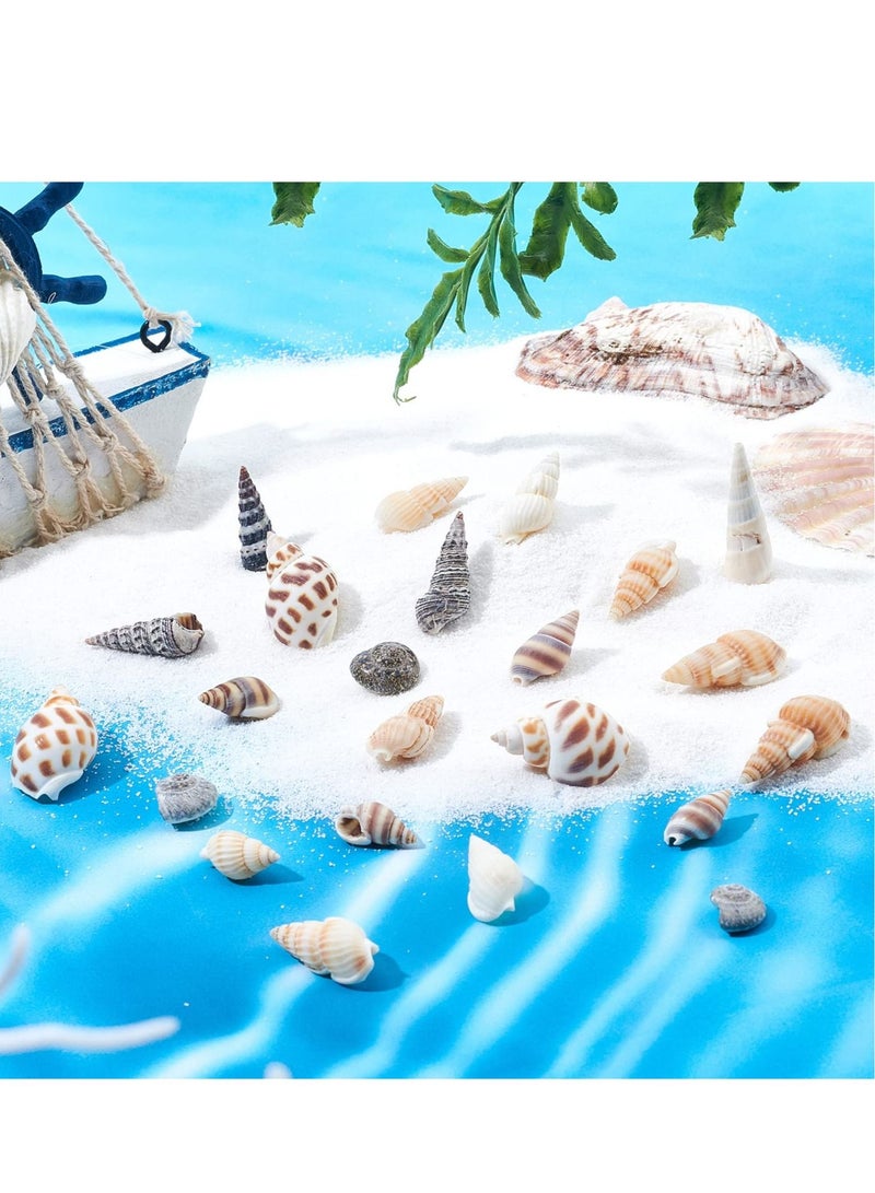 Excefore 140 PCS Open Back Natural Spiral Shell Beads, Spiral Conch Shells Charms, Beach Seashells Beads, Suitable for DIY Craft Jewelry Making, Home or Wedding Decoration - Image 4