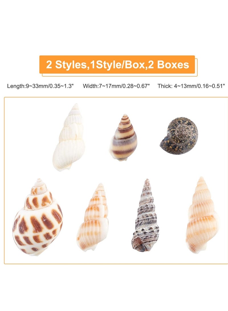 Excefore 140 PCS Open Back Natural Spiral Shell Beads, Spiral Conch Shells Charms, Beach Seashells Beads, Suitable for DIY Craft Jewelry Making, Home or Wedding Decoration - Image 5