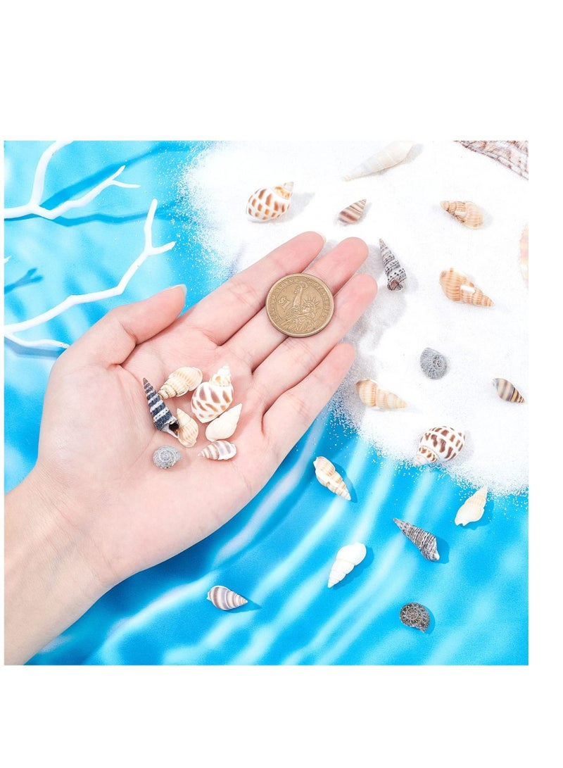 Excefore 140 PCS Open Back Natural Spiral Shell Beads, Spiral Conch Shells Charms, Beach Seashells Beads, Suitable for DIY Craft Jewelry Making, Home or Wedding Decoration - Image 3