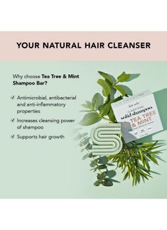 Kitsch Kitsch Tea Tree & Mint Anti-Dandruff Shampoo Bar - Vegan, Natural, Paraben & Sulfate Free | For Itchy Scalp & All Hair Types | Made in US, 3.2oz  - Image 2