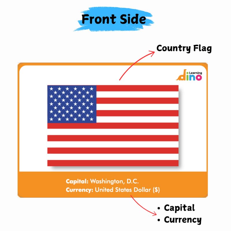Learning Dino Flags of The World Flashcards | Covers 50 Countries with Country Flag, Map, Economy, Language, Currency & More | Helps Kids Learn Geography in a Fun Way | Premium Quality | by Learning Dino - Image 4