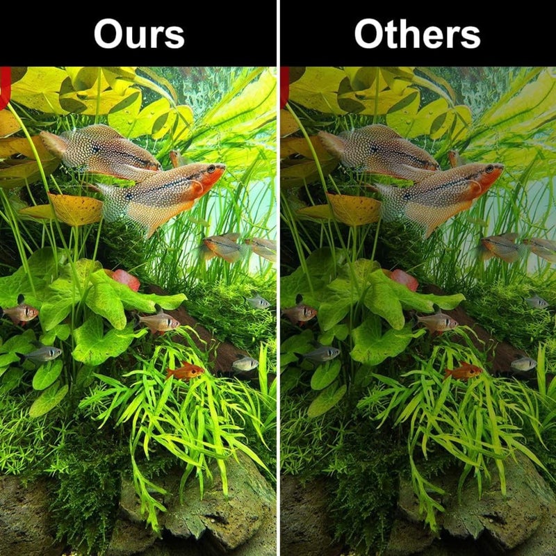 VAYINATO ® (M-180 | Blue & White Super Slim LED Aquarium Light (Suits Upto 2 Feet Tank) Plants Grow Lighting Creative Clip-on Lamp (Black) by Petzlifeworld - Image 5