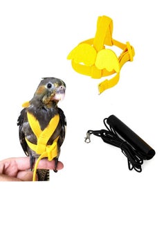 Yellow/Black