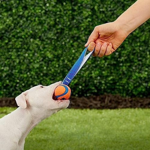Chuckit! Ultra Tug Dog Toy, Small Fetch and Dog Ball Tug Toy for Dogs 0-20 Pounds - Image 4