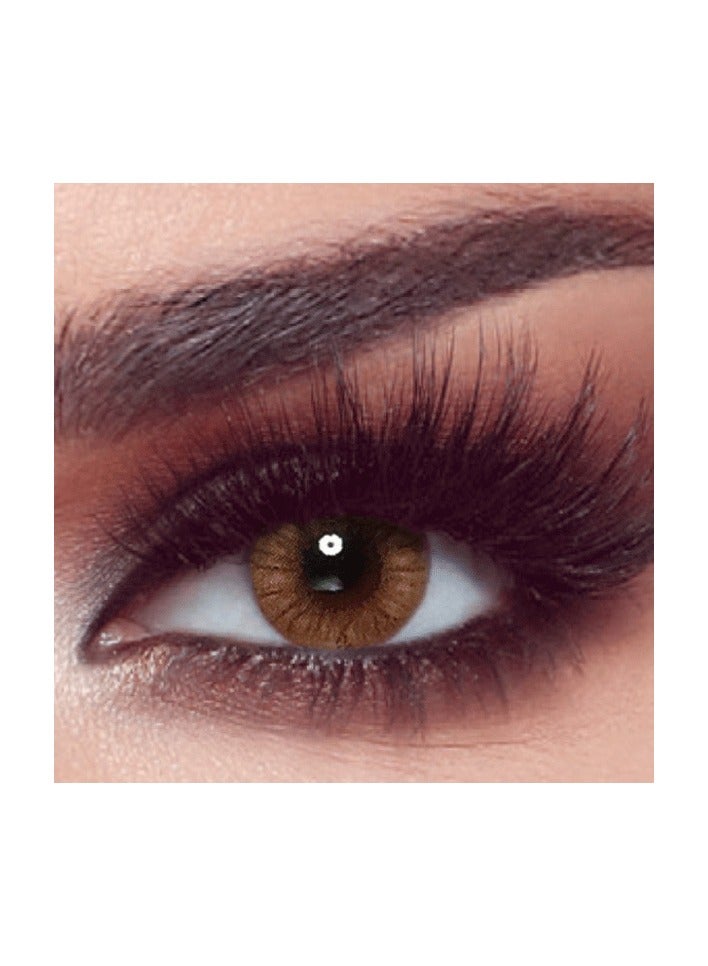 Bella عدسات لاصقة بيلا وان داي بلون بني فاتح، 10 قطع