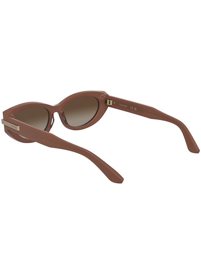 CALVIN KLEIN نظارات شمسية كاملة الإطار من أسيتات كالفن كلاين CK25502S 5417 (601) روز أوبالين - Image 2