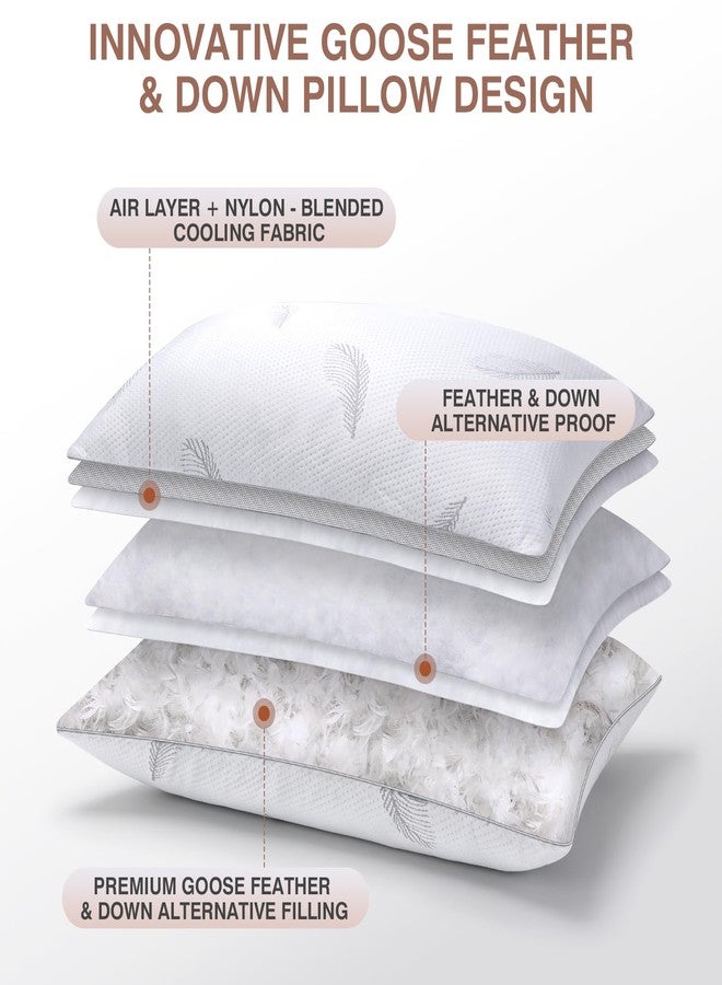 zibroges Goose Feather Pillows Bed Pillow - Hotel Down Pillows Queen Size Set of 2, Fluffy Support Surround Fill Polyester for Back, Stomach, Side Sleepers, Breathable & Soft Bed Pillow for Sleeping - Image 3