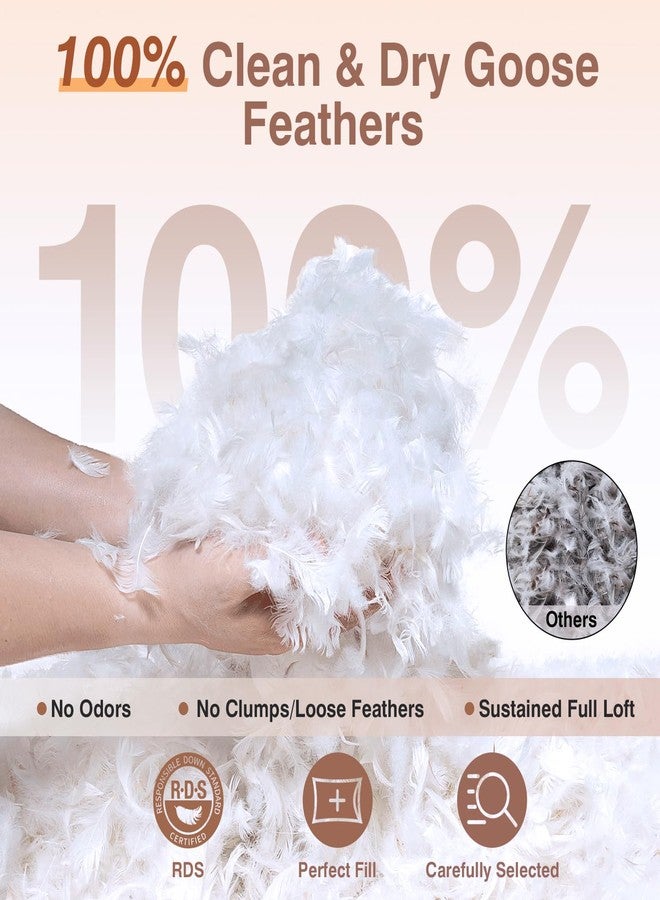 zibroges Goose Feather Pillows Bed Pillow - Hotel Down Pillows Queen Size Set of 2, Fluffy Support Surround Fill Polyester for Back, Stomach, Side Sleepers, Breathable & Soft Bed Pillow for Sleeping - Image 2