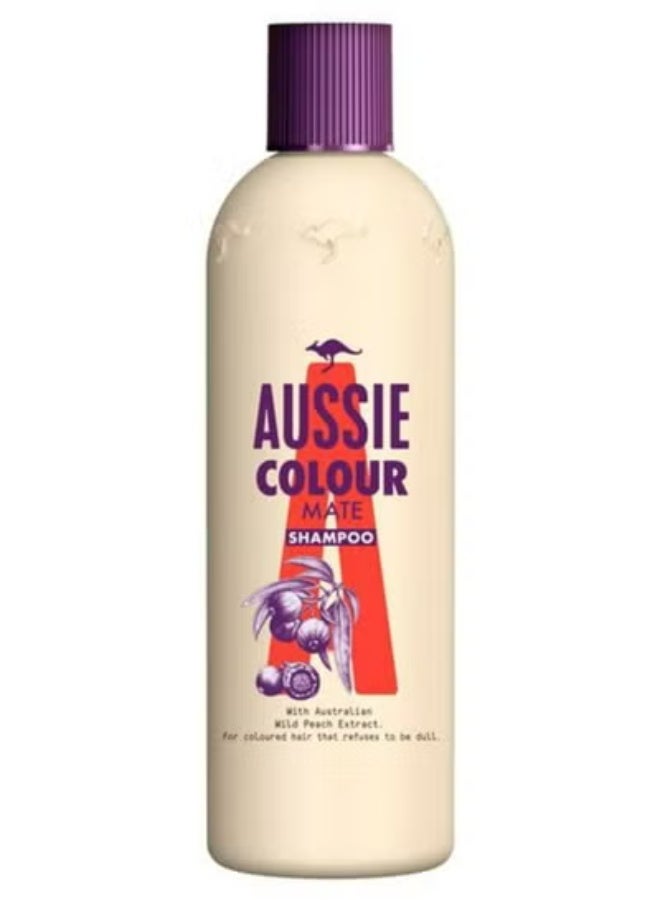 أوسي شامبو كولور ميت 300 مل