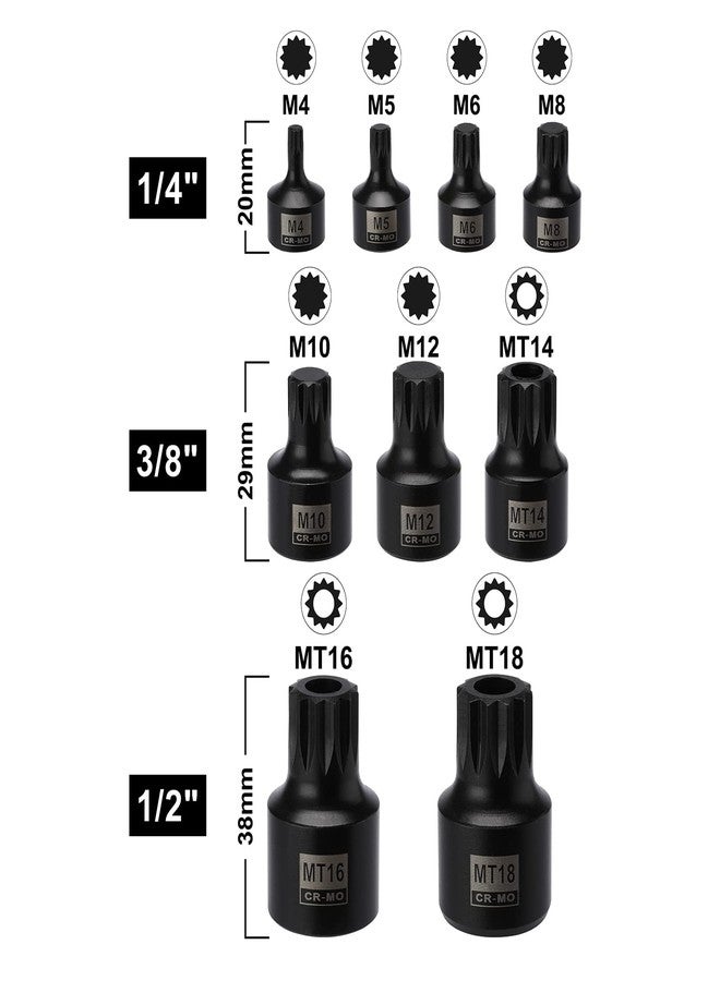 Mayouko 9PCS 1/4", 3/8", 1/2" Drive Low Profile Triple Square Bit Socket Set, Tamper-Proof Torx Bit Sockets, CR-MO, M4-M12, MT14-MT18 - Image 3