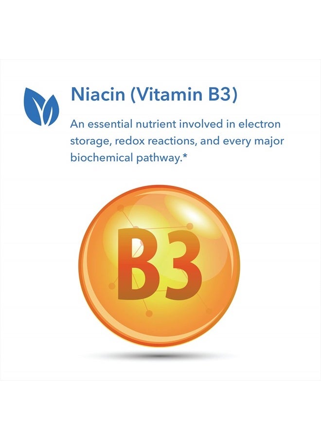 Allergy Research Group - Niacin Supplement - Vitamin B3 for Men & Women, Niacin with Flush, Nicotinic Acid, NAD, 250mg Vegetarian Capsules - 90 Count - Image 1