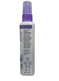 CRYSTAL Deodorant Mineral-Enriched Deodorant Spray, Lavender & White Tea (118 ml)  - Image 2