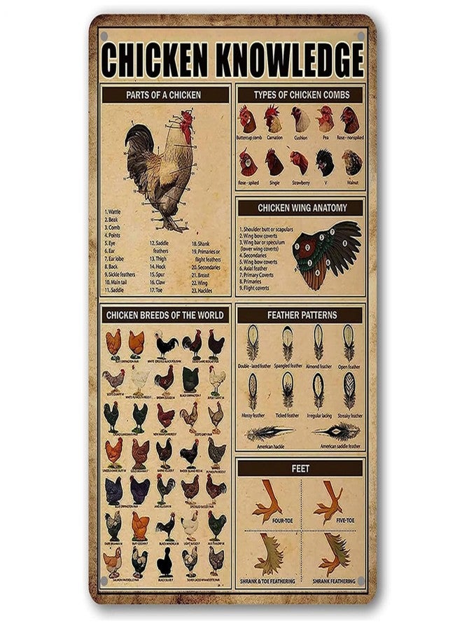 Ykfss Chicken Knowledge Metal Sign Chicken Coop Tin Signs Wall Decor Breeds Of Chickens Retro Farm Chicken Signs Funny Outdoor Decoration Parts Of Chicken Wing Anatomy Types Combs Feather Pattern 8×12 inch - Image 1