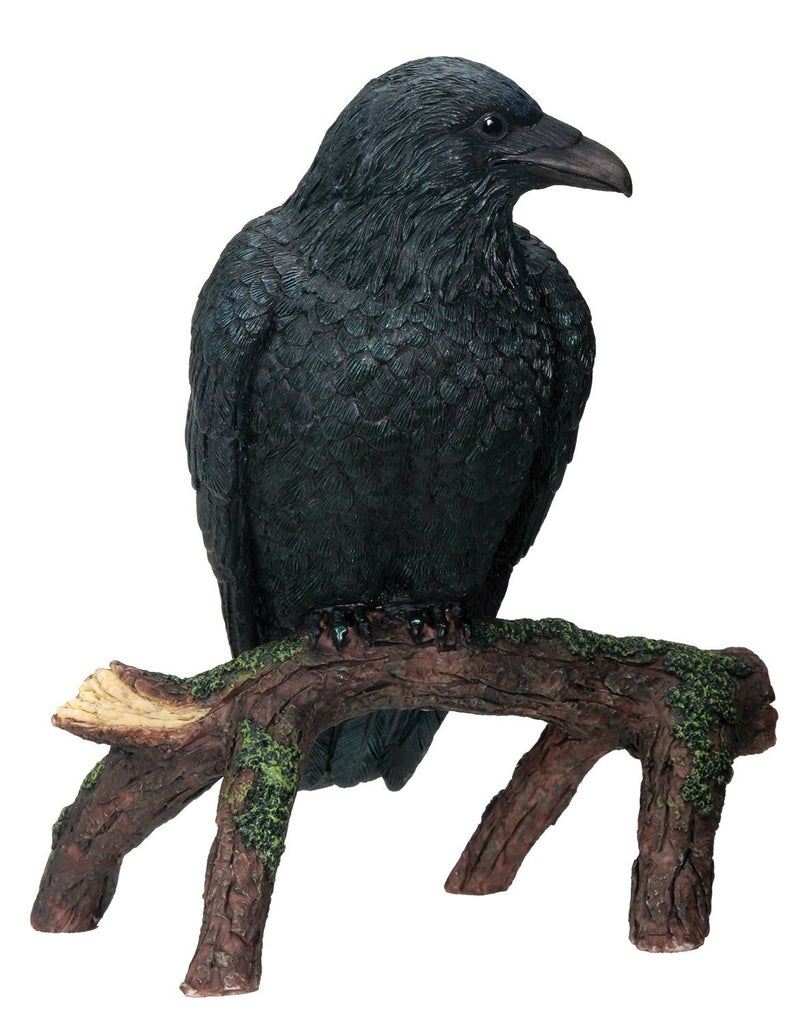 YTC Raven  Collectible Figurine Statue Sculpture Figure Crow Bird Model