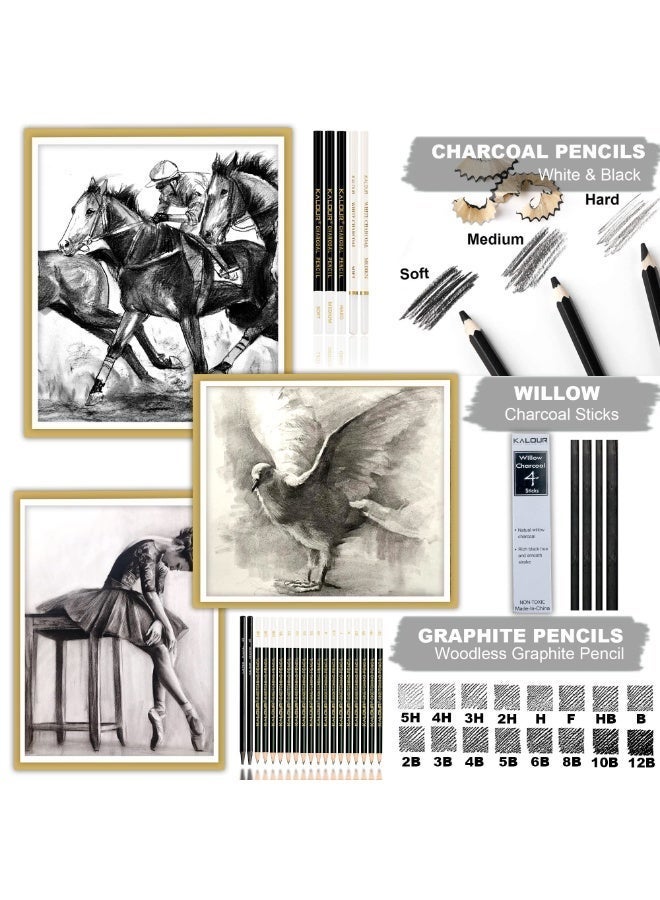 كالور مجموعة كالور للرسم والتخطيط - 54 قطعة مع دفر رسم - تشمل أقلام الجرافيت وأقلام الفحم وأدوات فنية - مستلزمات رسم محترفة للكبار والصغار والمبتدئين - مثالية للتخطيط والتظليل - Image 4