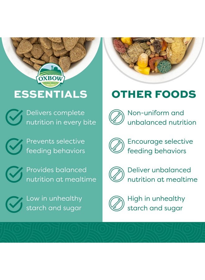 أوكسبو طعام أساسي للفئران البالغة - طعام طبيعي بالكامل للفئران البالغة - موصى به من قبل الأطباء البيطريين - صنع في الولايات المتحدة الأمريكية - غني بالفيتامينات والمعادن الطبيعية - بدون مكونات صناعية - 3 رطل. - Image 2