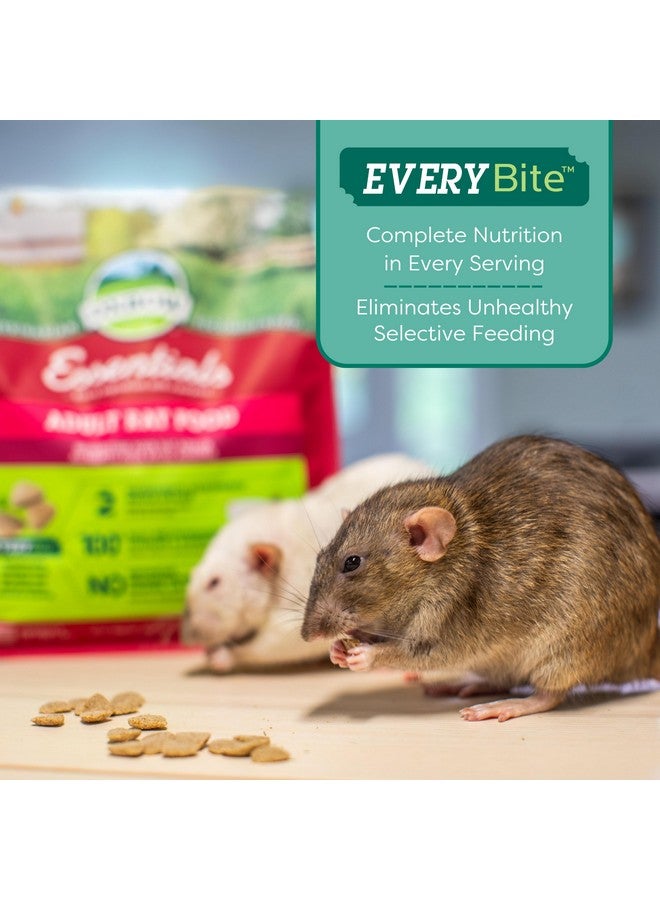 أوكسبو طعام أساسي للفئران البالغة - طعام طبيعي بالكامل للفئران البالغة - موصى به من قبل الأطباء البيطريين - صنع في الولايات المتحدة الأمريكية - غني بالفيتامينات والمعادن الطبيعية - بدون مكونات صناعية - 3 رطل. - Image 5
