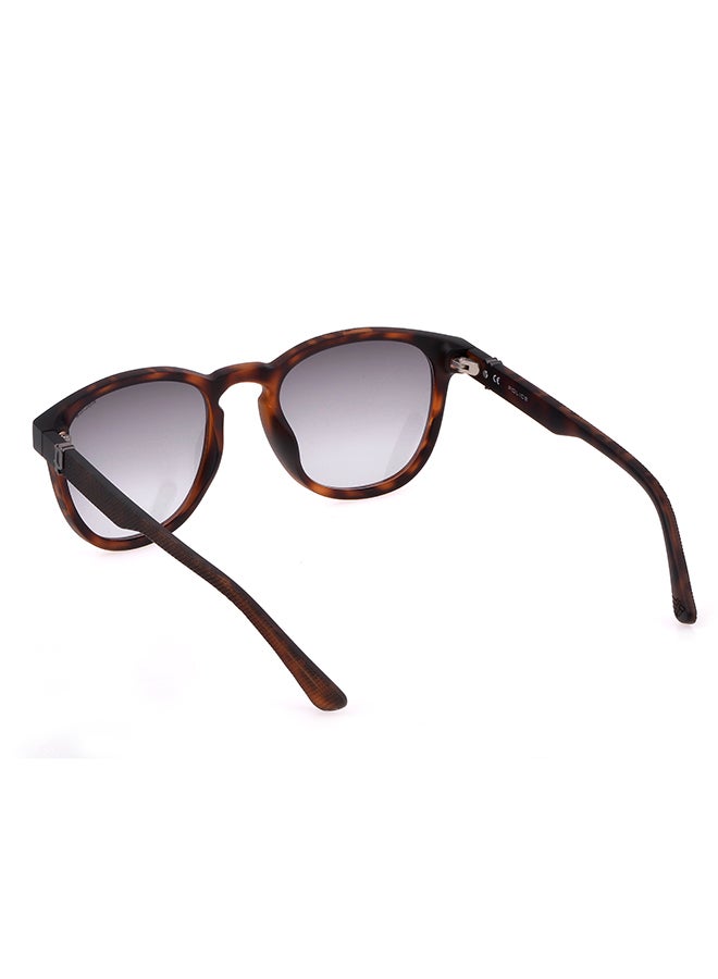 POLICE Full Rim Pantos Sunglasses Police - Image 5