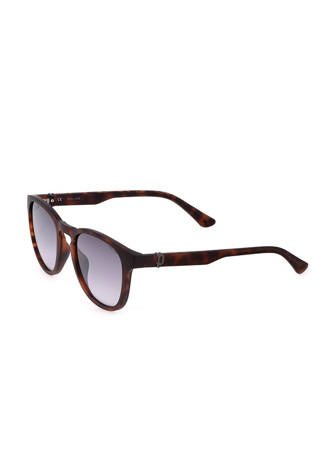POLICE Full Rim Pantos Sunglasses Police - Image 2
