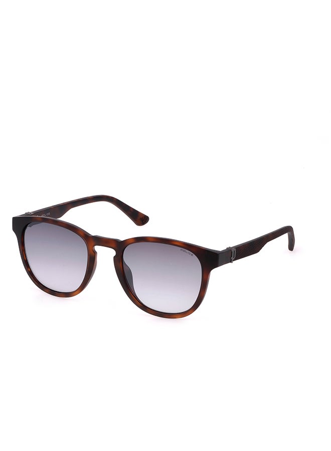 POLICE Full Rim Pantos Sunglasses Police - Image 1