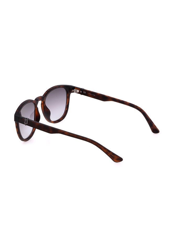 POLICE Full Rim Pantos Sunglasses Police - Image 4