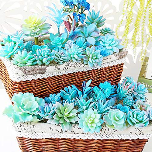 Cayway 21 PCS Artificial Succulent Plants, Blue Fake Succulent, Unpotted Faux Succulent Assortment in Flocked Blue in Different Type for Birthday Home Decor Indoor Wall Garden DIY - Image 4