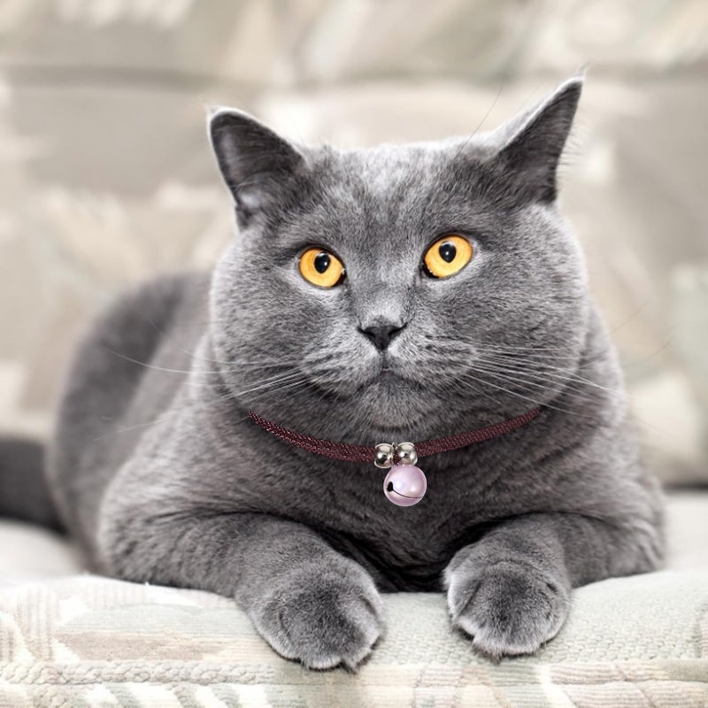 Adjustable Pet Collars With Bell For Festivals Comfortable And Stylish Accessories 2Pcs Set - Image 4