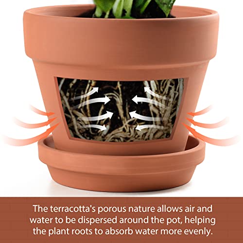 INGOFIN Terracotta Pots Set with Saucer - 2-Pack Ceramic Clay Planters with Drainage Hole, Garden Flower Succulent Pots with Tray for Indoor Outdoor Plants, 8 inch, Set of 2 - Image 3