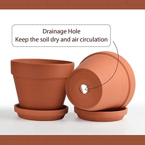 INGOFIN Terracotta Pots Set with Saucer - 2-Pack Ceramic Clay Planters with Drainage Hole, Garden Flower Succulent Pots with Tray for Indoor Outdoor Plants, 8 inch, Set of 2 - Image 4