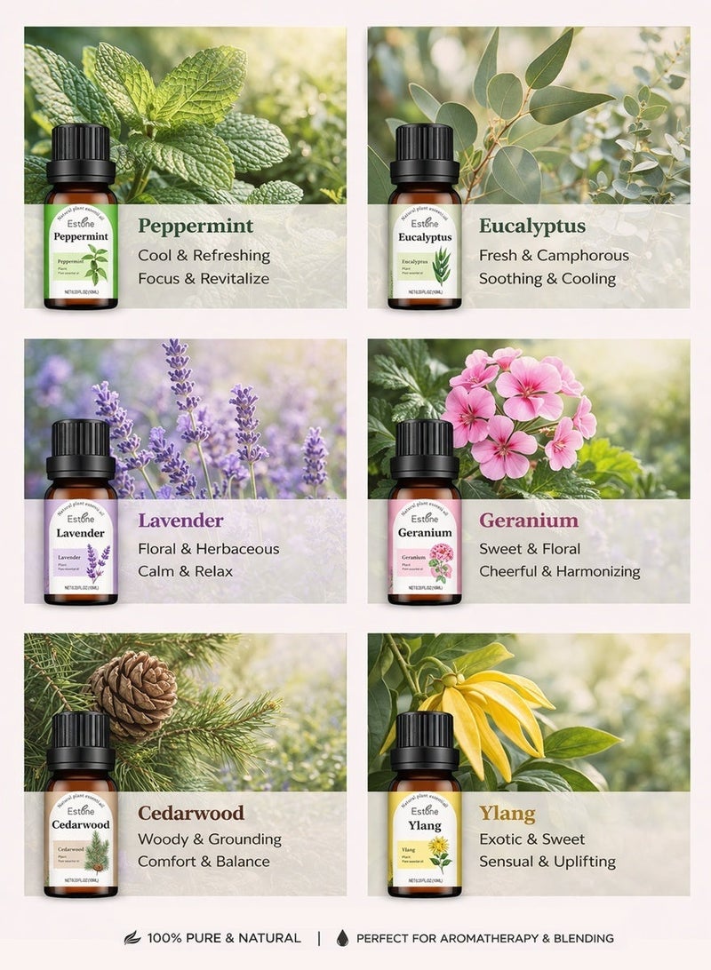 Estone Home Relaxation & Family Gifting – Natural Floral & Fresh Essential Oil Gift Set 6 × 10ml – Lavender, Geranium, Ylang Ylang, Cedarwood, Peppermint & Eucalyptus - Image 3