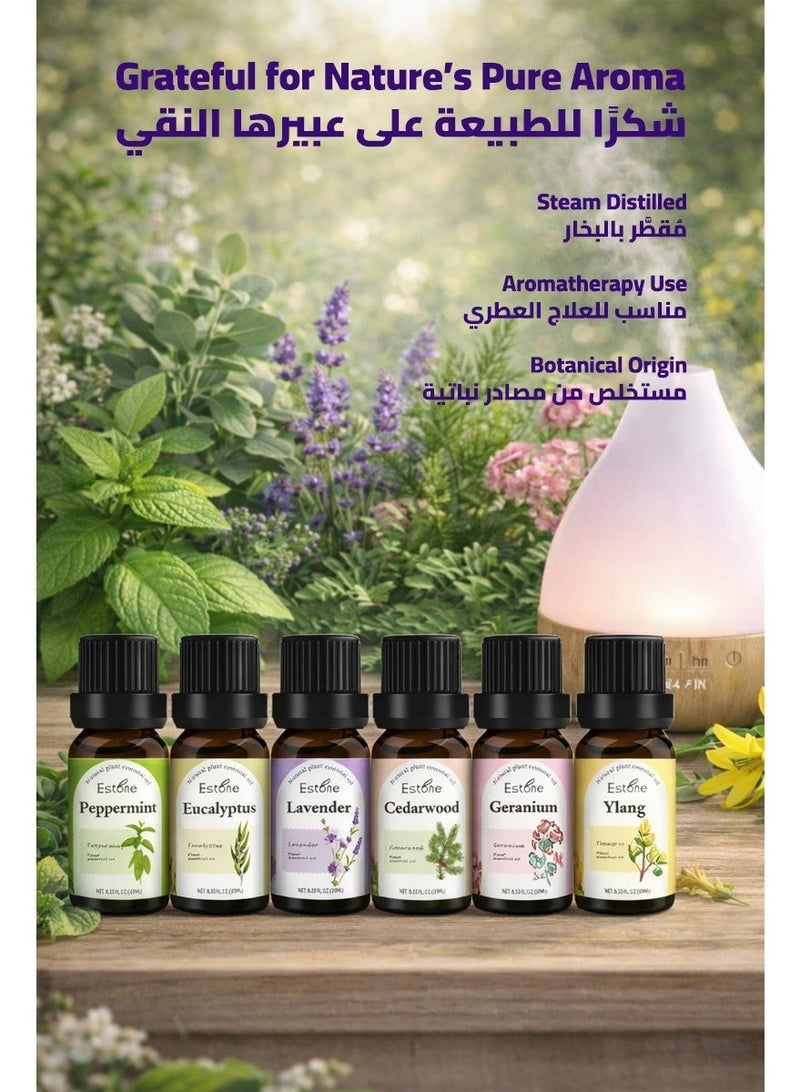 Estone Home Relaxation & Family Gifting – Natural Floral & Fresh Essential Oil Gift Set 6 × 10ml – Lavender, Geranium, Ylang Ylang, Cedarwood, Peppermint & Eucalyptus - Image 2