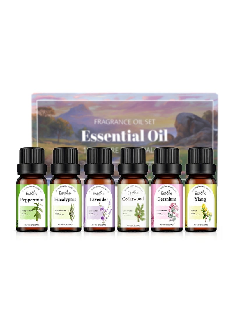 Estone Home Relaxation & Family Gifting – Natural Floral & Fresh Essential Oil Gift Set 6 × 10ml – Lavender, Geranium, Ylang Ylang, Cedarwood, Peppermint & Eucalyptus - Image 1