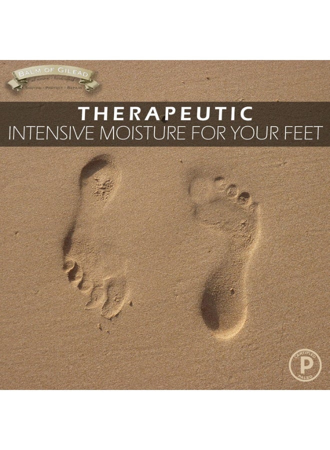 BALM OF GILEAD Tea Tree Balm - 2 fl oz Foot Cream with Tea Tree and Manuka Oil - Intensive Moisture for Itchy Feet, Eczema, Rashes & Dry Skin - Pure Balm That Softens Skin Irritations - Image 4