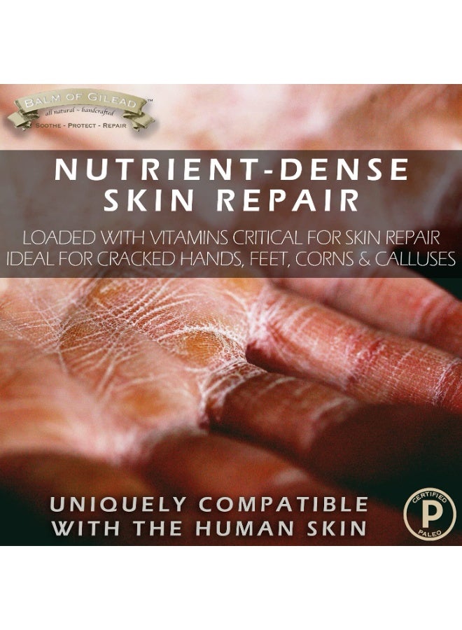 BALM OF GILEAD Tea Tree Balm - 2 fl oz Foot Cream with Tea Tree and Manuka Oil - Intensive Moisture for Itchy Feet, Eczema, Rashes & Dry Skin - Pure Balm That Softens Skin Irritations - Image 3