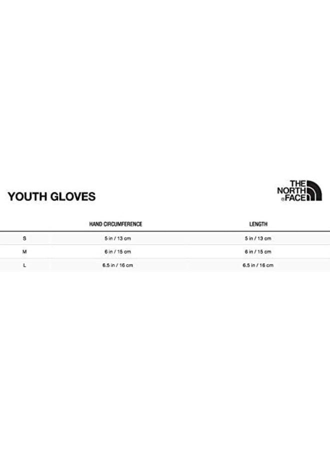 THE NORTH FACE Kids' Sierra Fleece Etip Gloves - Image 2