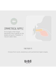 BIBS عبوة من قطعتين من أحمر الخدود اللاتكس S1 الملون المتوهج والفانيليا المتوهجة  - Image 4