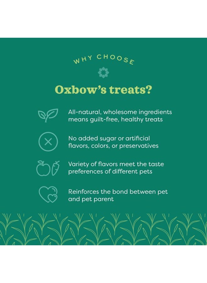Oxbow 3 Pack of Bene Terra USDA Organic Barley Biscuits Natural Baked Small Pet Treats, 2.65 Ounces Each - Image 3