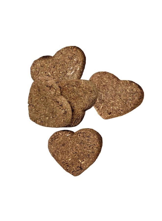 Oxbow 3 Pack of Bene Terra USDA Organic Barley Biscuits Natural Baked Small Pet Treats, 2.65 Ounces Each - Image 2