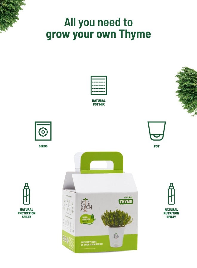 POT & BLOOM Pot And Bloom Thyme DIY Gardening Kit: Everything You Need to Grow - Thyme Seeds, Pot, Sprays, and Pot Mix Included. Grow Your Own Thyme Plant. Organic Thyme Plant Return Gift for Birthdays  - Image 2
