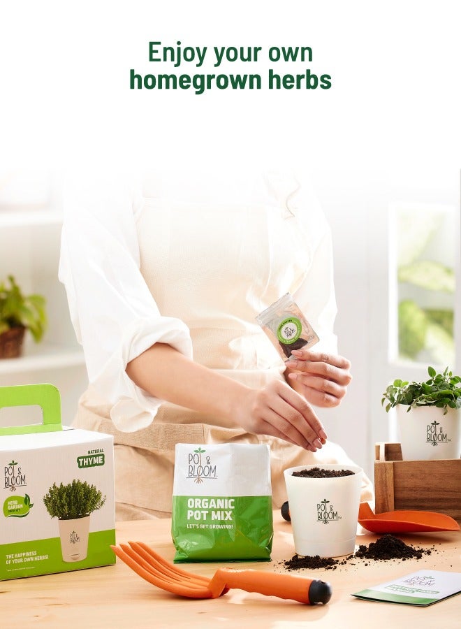 POT & BLOOM Pot And Bloom Thyme DIY Gardening Kit: Everything You Need to Grow - Thyme Seeds, Pot, Sprays, and Pot Mix Included. Grow Your Own Thyme Plant. Organic Thyme Plant Return Gift for Birthdays  - Image 4