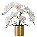 LESING LESING Artificial Orchid Flower with Vase, White Orchid Bonsai Faux Orchid Phalaenopsis Plant Pot Arrangements for Home  - Image 2