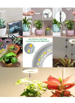 Gerenic Grow Light with Full Spectrum, LED Plant Light for Indoor Plants, Height Adjustable Growing Lamp, Grow Light with Adjustable Timer and Dimmable Brightness, Ideal for Small Plants  - Image 3