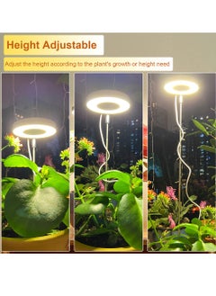 Gerenic Grow Light with Full Spectrum, LED Plant Light for Indoor Plants, Height Adjustable Growing Lamp, Grow Light with Adjustable Timer and Dimmable Brightness, Ideal for Small Plants  - Image 2