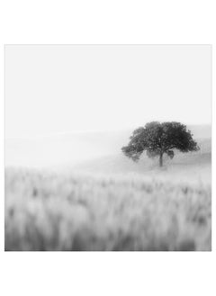 Picture, lonely tree, 56x56 cm - pzsku/ZF69D7E709C5D8BAB47AFZ/45/_/1694752616/24ecfcf6-2714-4683-a735-958e63542e0e