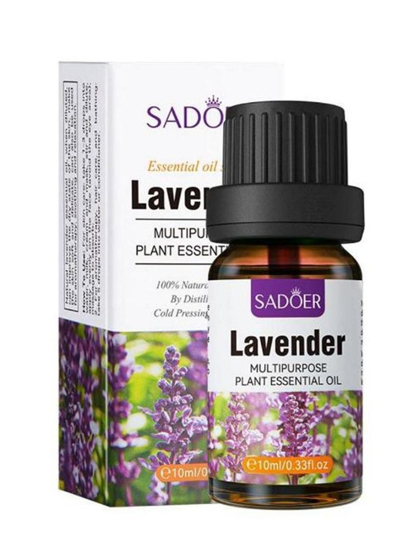 SADOER Sidr vegetable oil with the scent of lavender, 10 ml  - Image 1