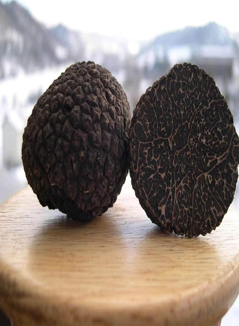GGOOT Spores Black Truffle Mushrooms Mycelium Spawn Dried Seeds Kit for Planting Non GMO 0.25 g - Image 1