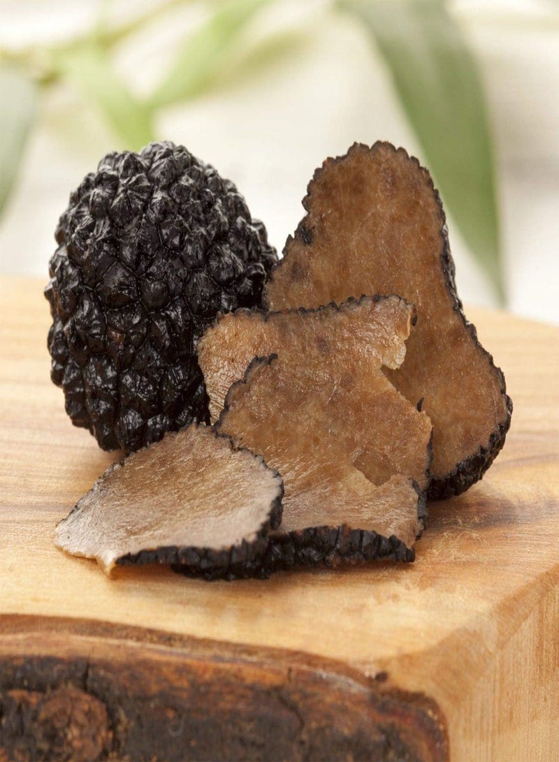 GGOOT Spores Black Truffle Mushrooms Mycelium Spawn Dried Seeds Kit for Planting Non GMO 0.25 g - Image 2